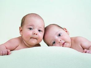 当年双胞胎兄弟娶双胞胎女孩一起结婚迎新娘轰动一时，如今怎样了？