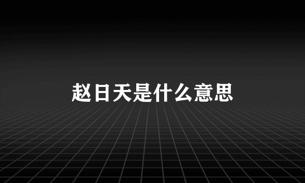 赵日天是什么意思