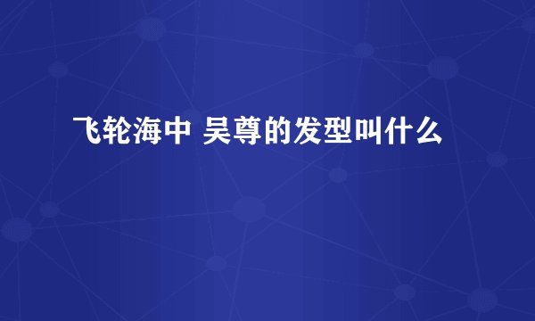 飞轮海中 吴尊的发型叫什么