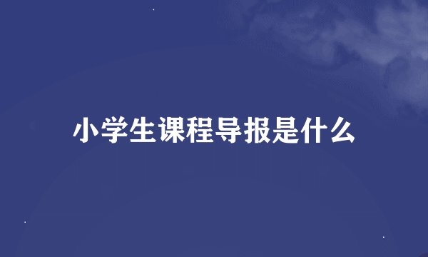 小学生课程导报是什么