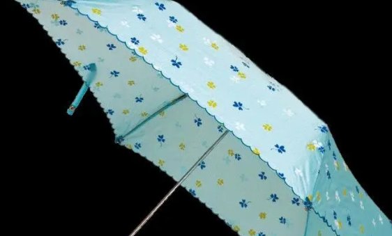 中国最好的雨伞品牌排行榜