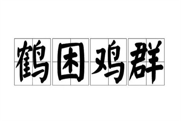 鹤什么鸡群