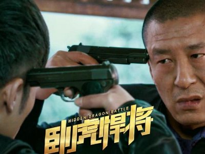 卧虎悍将观后感怎么写？