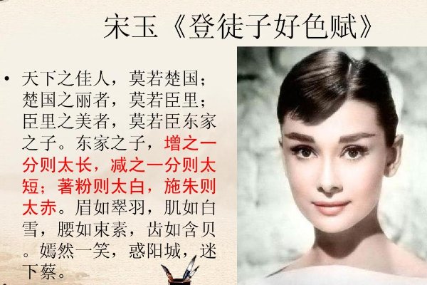 东家之子的美貌反映的辩证关系