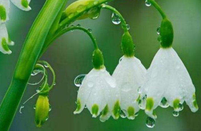 与大自然接触的的感觉