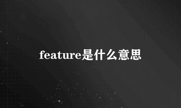 feature是什么意思