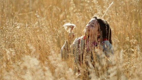 你知道有哪些画面超美的小众电影？