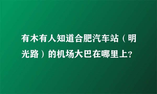 有木有人知道合肥汽车站（明光路）的机场大巴在哪里上？