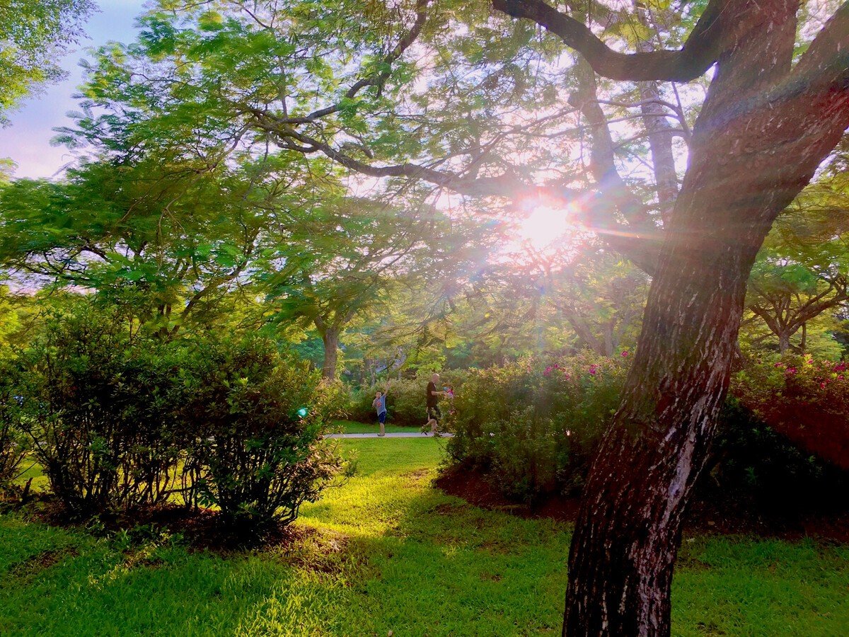 阳光很暖心情很好的句子