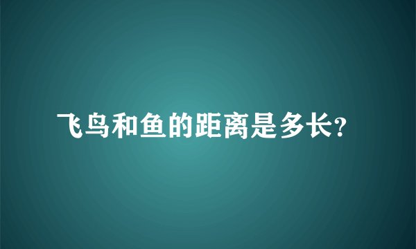 飞鸟和鱼的距离是多长？