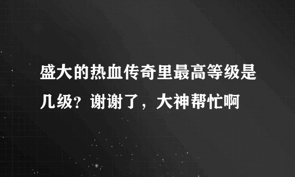 盛大的热血传奇里最高等级是几级？谢谢了，大神帮忙啊