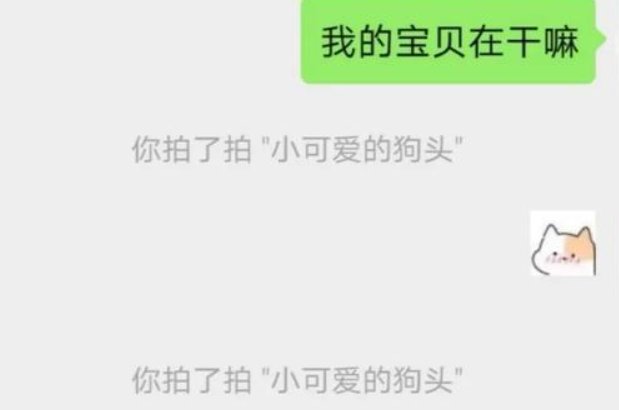拍了拍我的意思是什么？