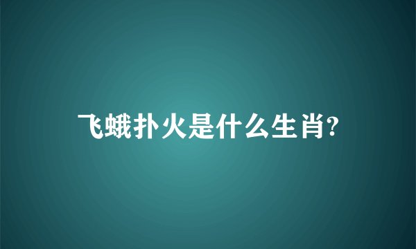 飞蛾扑火是什么生肖?