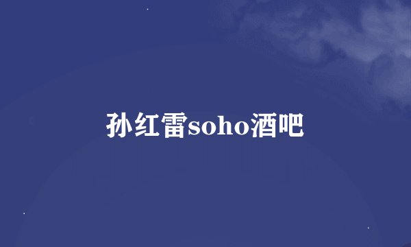 孙红雷soho酒吧