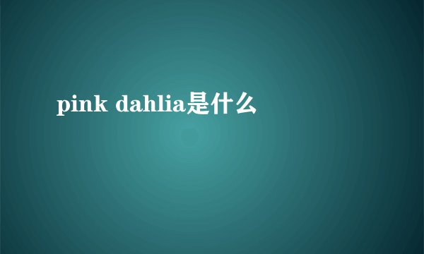pink dahlia是什么