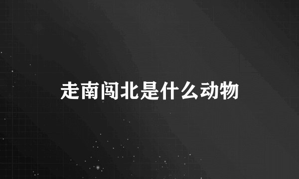 走南闯北是什么动物