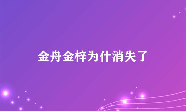 金舟金梓为什消失了
