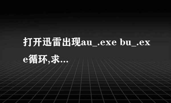 打开迅雷出现au_.exe bu_.exe循环,求知道电脑帝