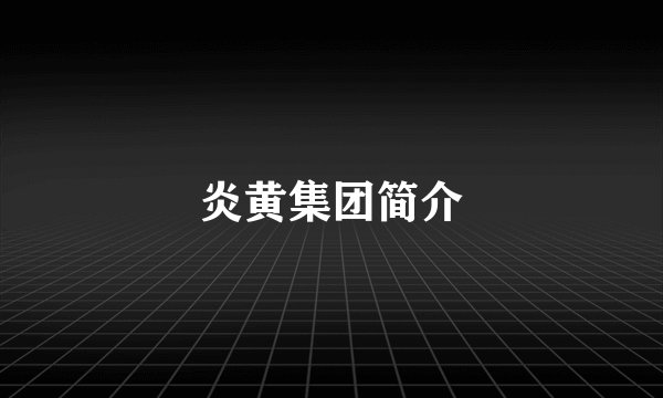 炎黄集团简介
