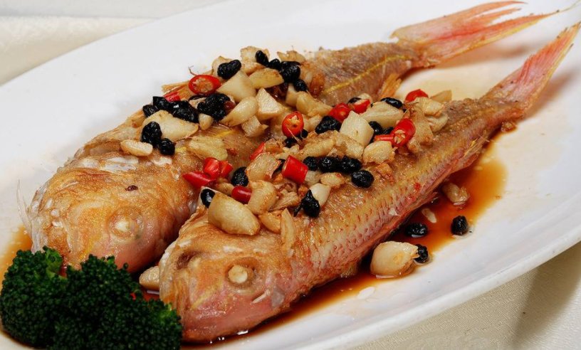 各种鱼类的英文名