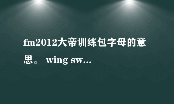 fm2012大帝训练包字母的意思。 wing sw poacher.还有后面+sb