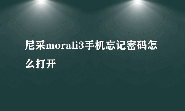 尼采morali3手机忘记密码怎么打开