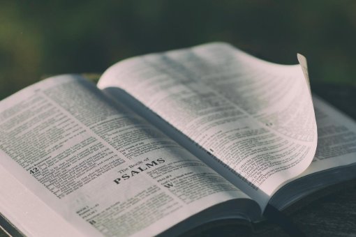 hi there是什么意思？