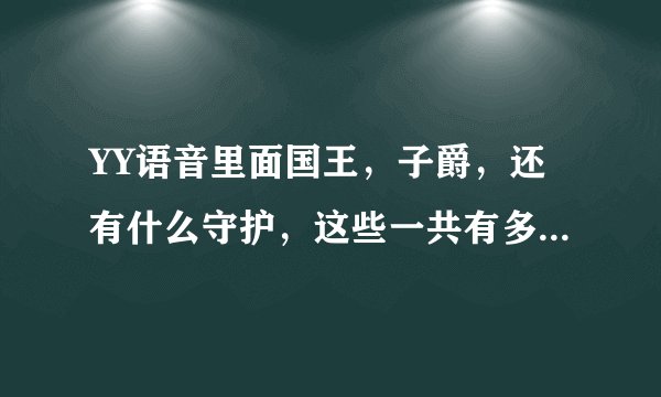 YY语音里面国王，子爵，还有什么守护，这些一共有多少个职位。这些职位有什么用啊，能详细的说下吗？