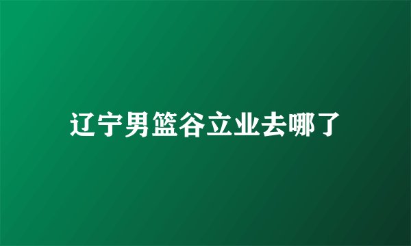 辽宁男篮谷立业去哪了