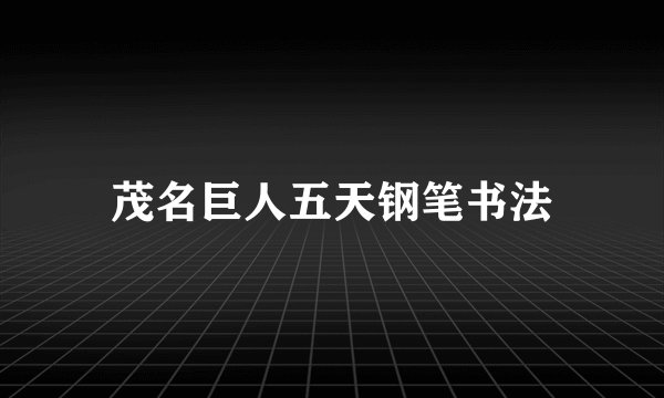 茂名巨人五天钢笔书法
