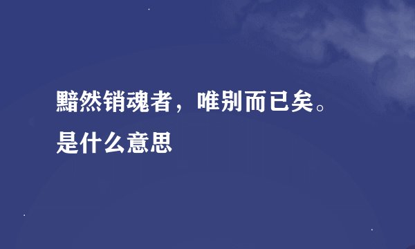 黯然销魂者，唯别而已矣。 是什么意思