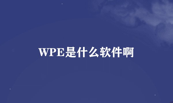 WPE是什么软件啊