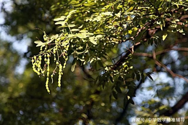 农村的谚语“门前一颗槐，不挣自己来”，有没有道理？