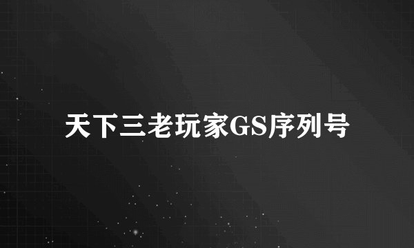 天下三老玩家GS序列号
