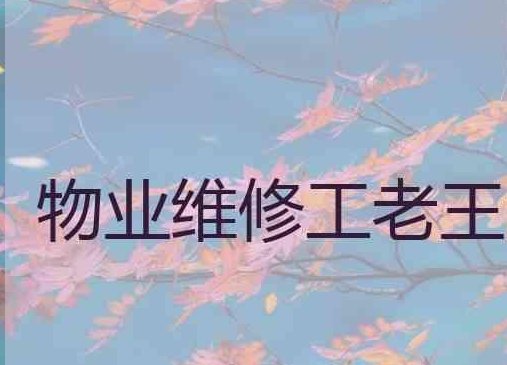 物业维修工老王马婷有结局吗？