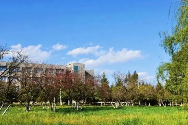嵩明杨林大学城有哪些学校