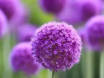 小小的什么填空一年级