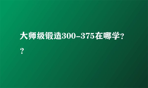大师级锻造300-375在哪学？？