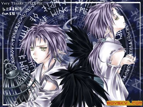 暗夜之族的介绍