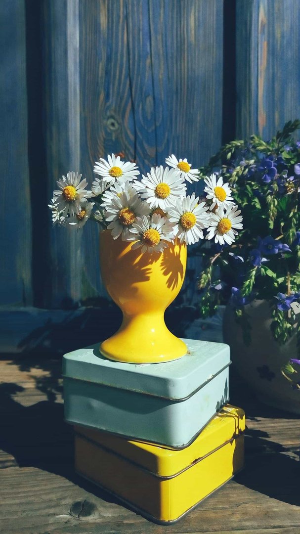 我很爱她，可是不知道她怎么想的，为什么我一喜欢她，她就特别粘着我，一冷漠她就哭个死去活来，还哭？