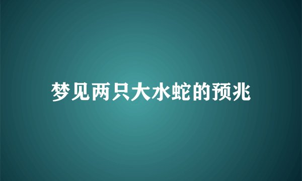 梦见两只大水蛇的预兆