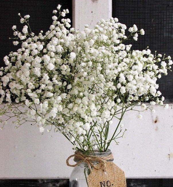 那是一种白色的很小的花，名字叫满天星