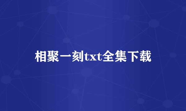 相聚一刻txt全集下载