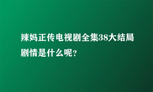 辣妈正传电视剧全集38大结局剧情是什么呢？