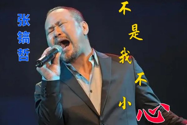 从来不敢仔细看你是什么歌