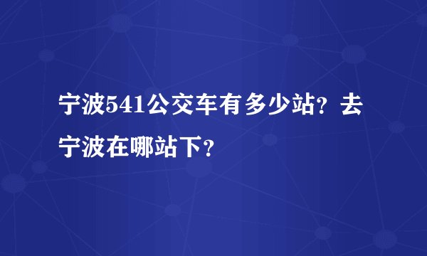 宁波541公交车有多少站？去宁波在哪站下？