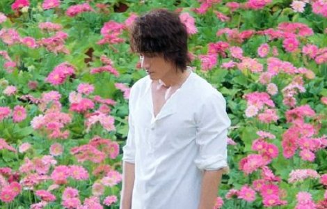 夏花结局是be吗