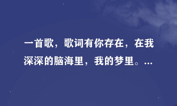 一首歌，歌词有你存在，在我深深的脑海里，我的梦里。。。歌名是什么啊
