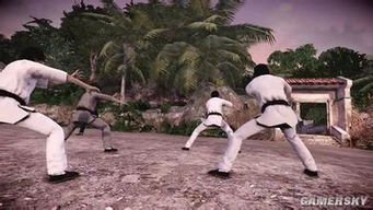 热血无赖在十二宫岛收集的雕像有什么用?