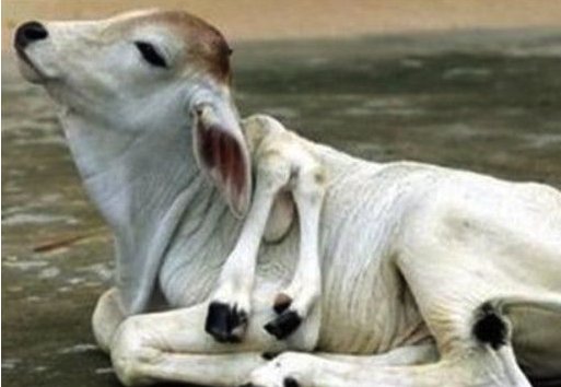 什么是核污染？